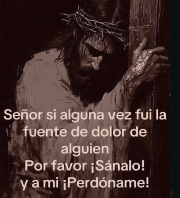 SEÑOR SI ALGUNA VEZ FUI LA FUENTE DE DOLOR DE ALGUIEN POR FAVOR SANALO Y A MI PERDONAME