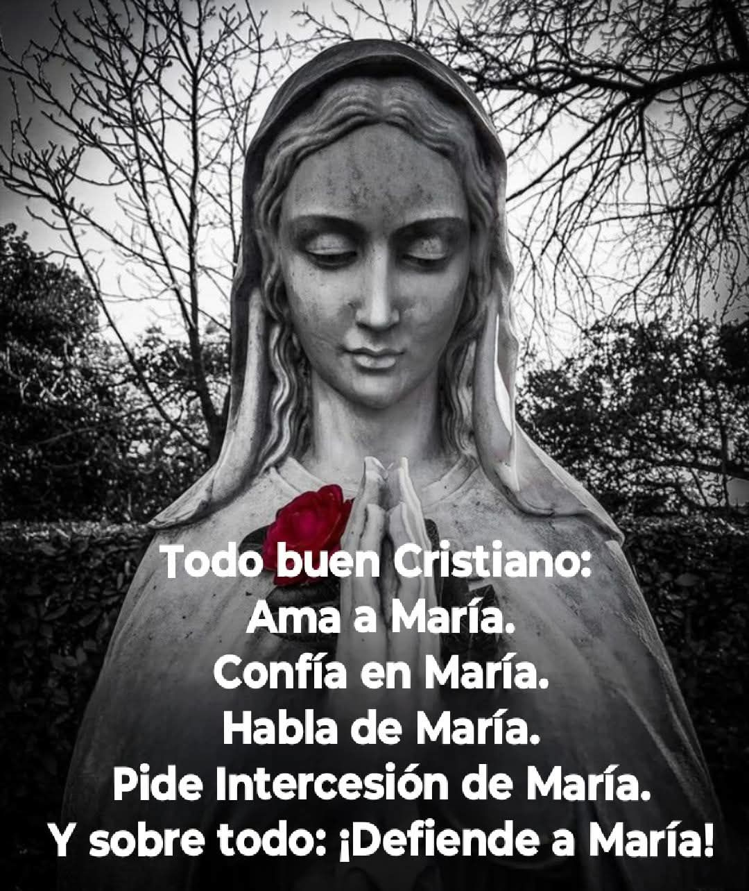 TODO BUEN CRISTIANO AMA A MARIA