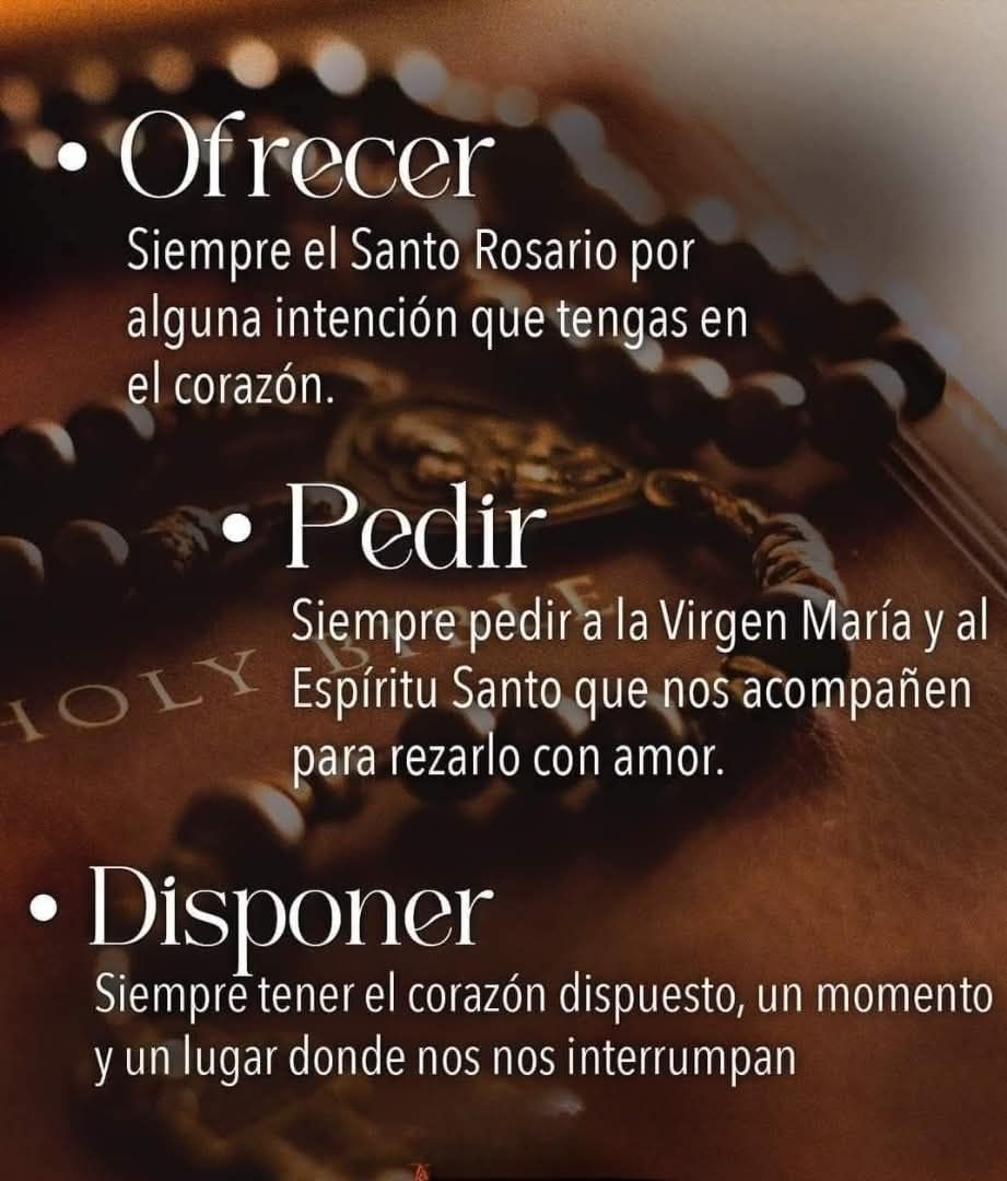 OFRECER PEDIR DISPONER