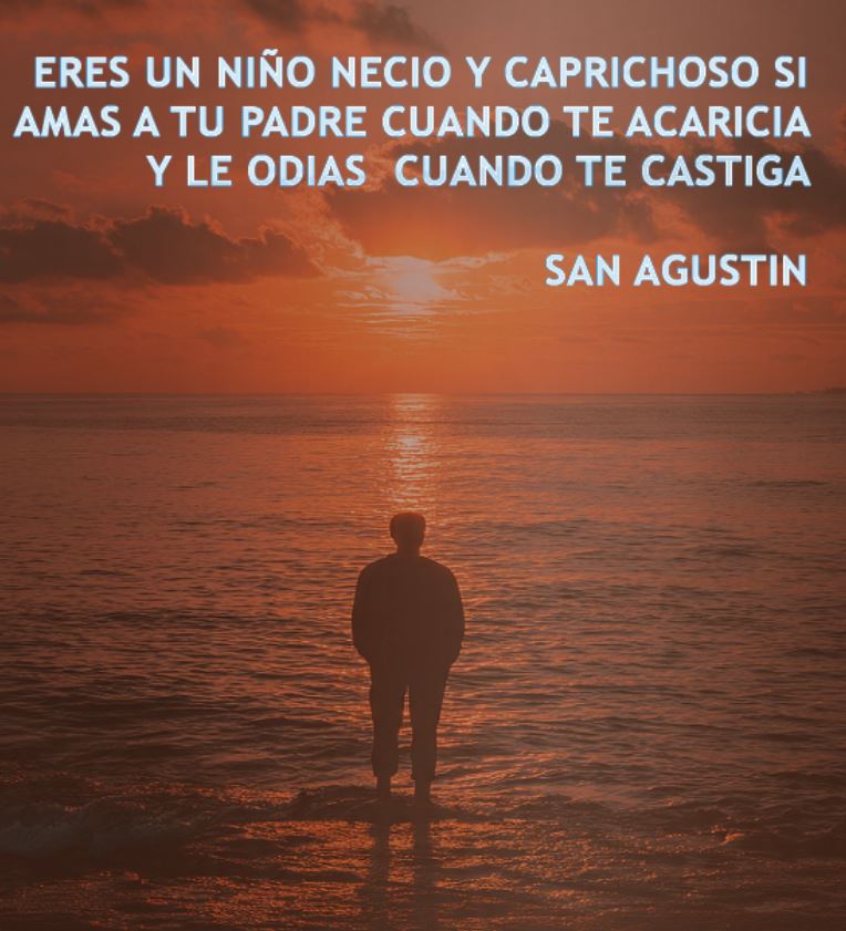 ERES UN NIÑO NECIO Y CAPRICHOSO SI AMAS A TU PADRE CUANDO TE ACARICIA,Y LE ODIAS CUANDO TE CASTIGA